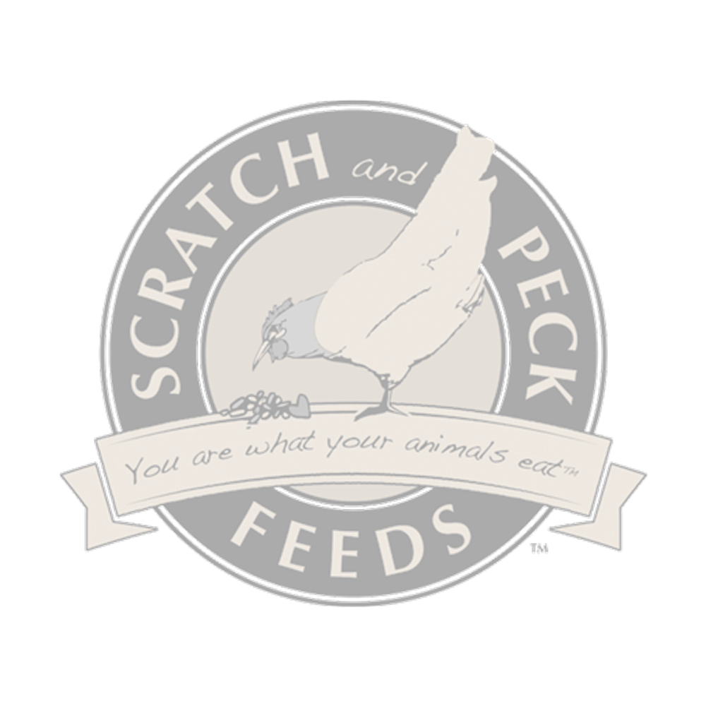 Livestock Clackamas Feed & Pet Supply